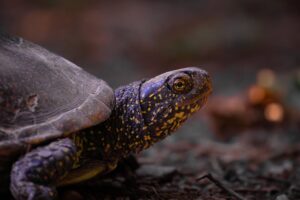 daily tech news today - daily tech news today Altimetrik Scales Its AI-led Growth Agenda for Customers Glo