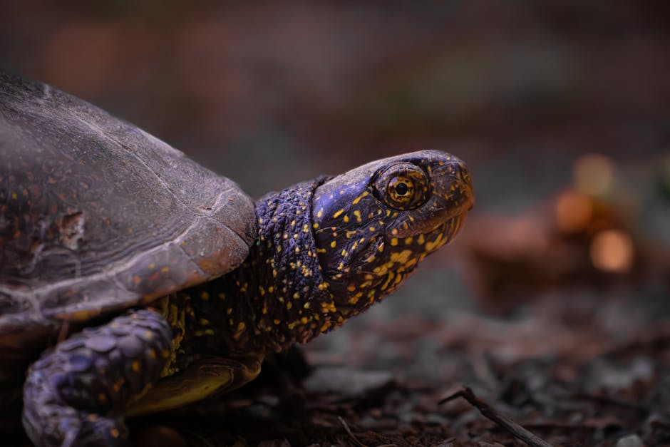 daily tech news today - daily tech news today Altimetrik Scales Its AI-led Growth Agenda for Customers Glo